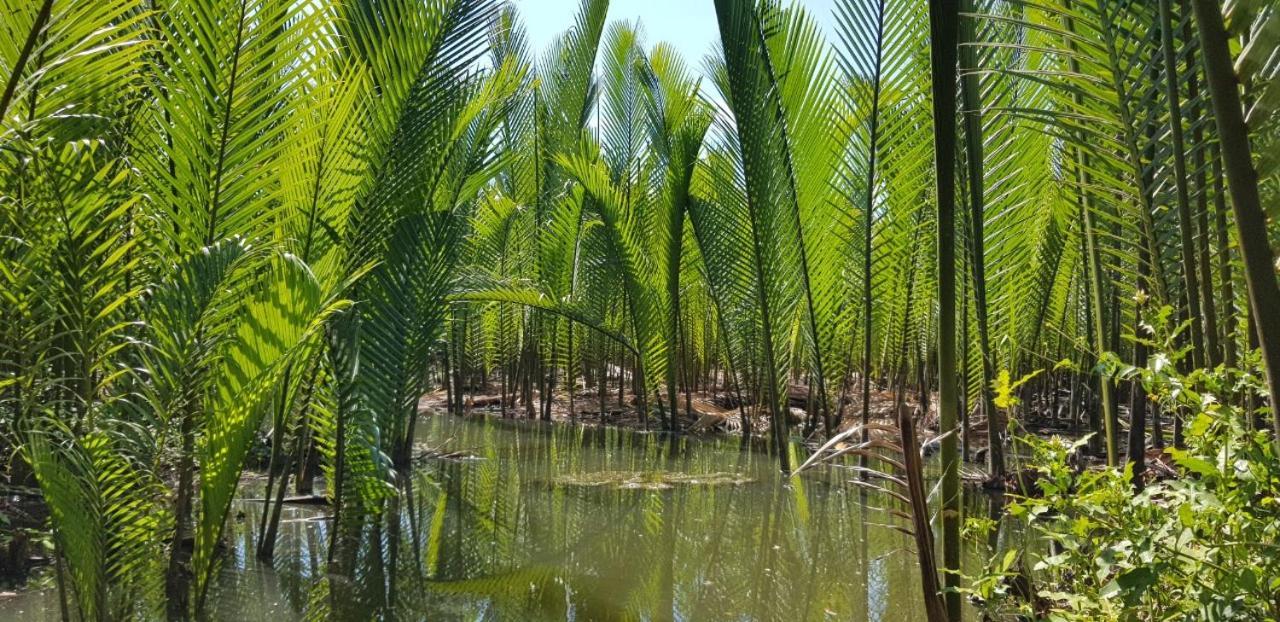 Countryside Homestay Quảng Ngãi Eksteriør bilde