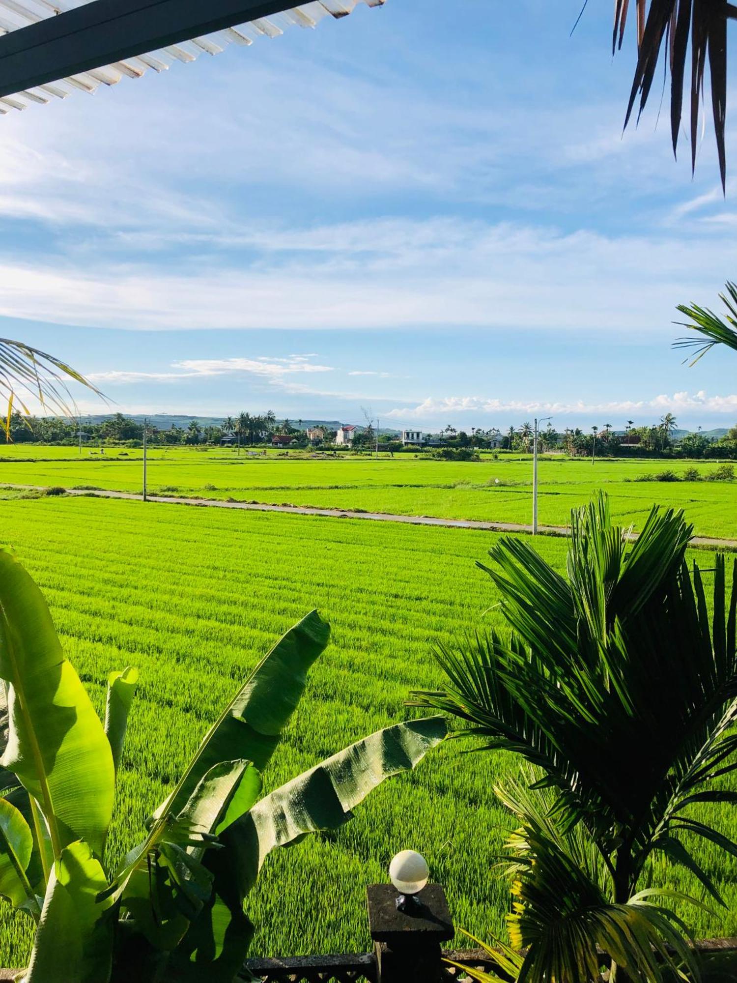 Countryside Homestay Quảng Ngãi Eksteriør bilde