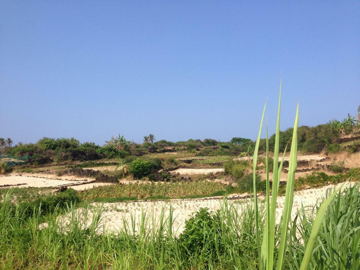 Countryside Homestay Quảng Ngãi Eksteriør bilde